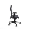 Office Chair Albacete Piqueras y Crespo B2D036G Dark grey