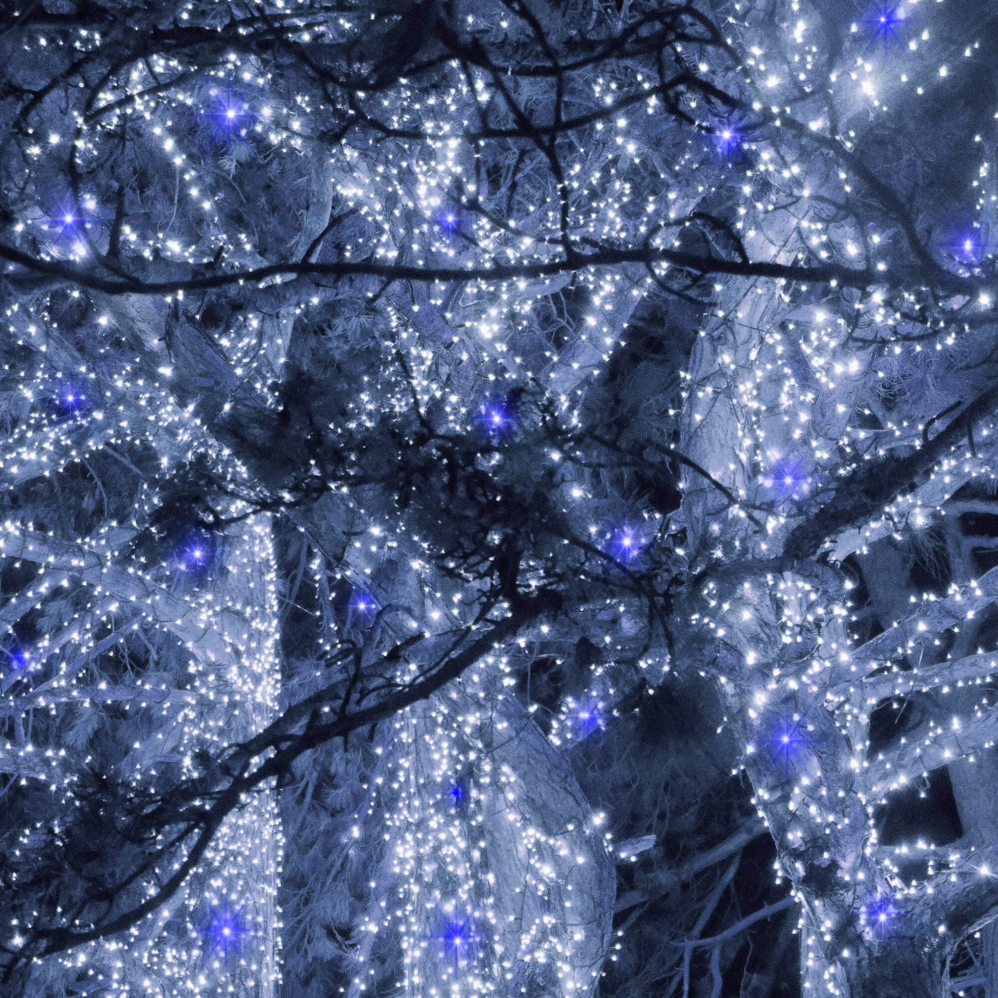 Christmas lights Springos CL0529, FLASH 500 LED | Buy online — Megaluks