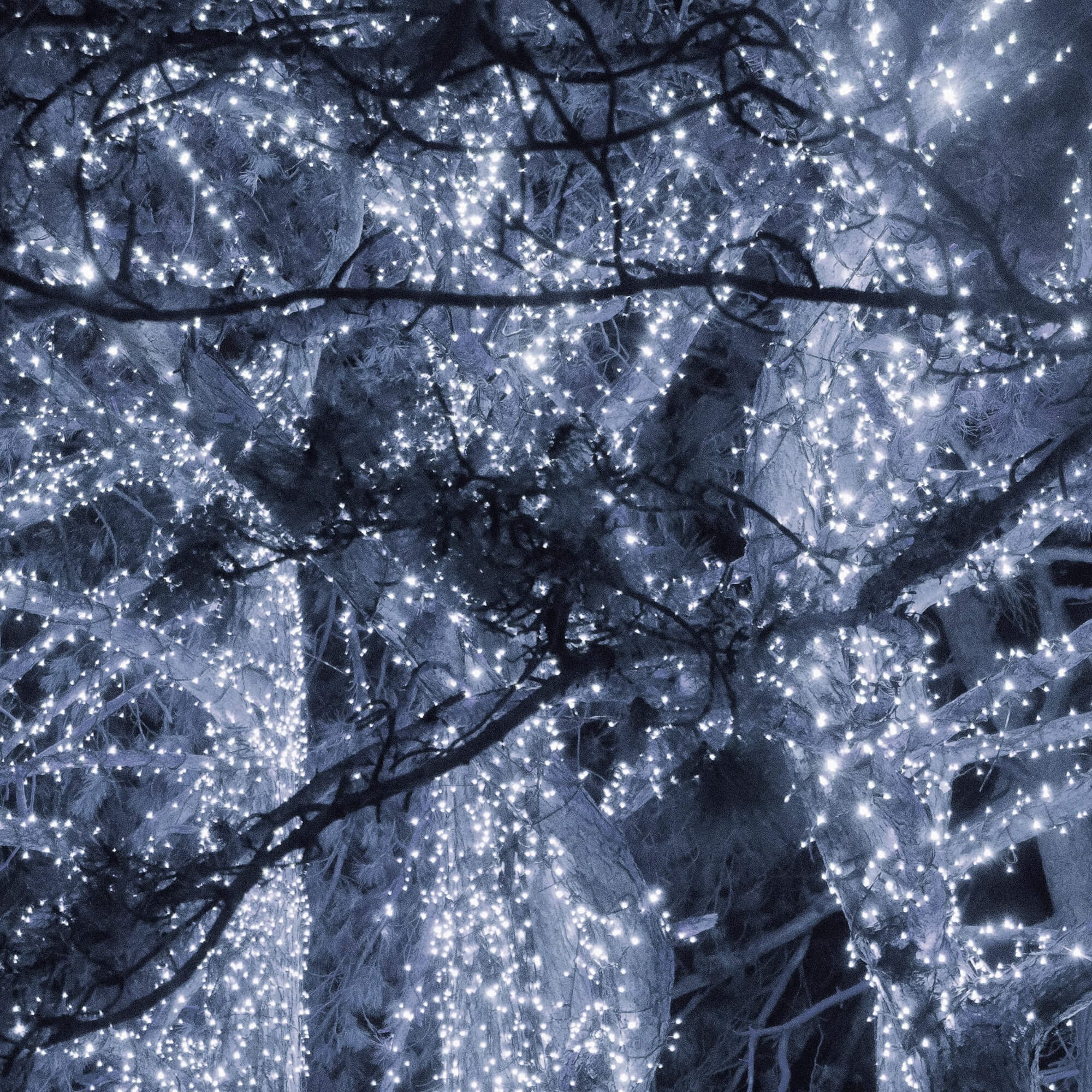 Christmas lights Springos CL1004 1000 Led 60m