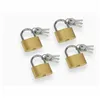 Key padlock Meister (4 Units)