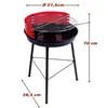 Barbecue Portable Aktive Wood Iron 37,5 x 70 x 38,5 cm (4 Units) Red