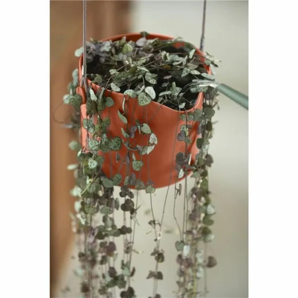 Hanging Planter Elho   Plastic Ø 30 cm