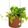 Hanging Planter Elho   Plastic Ø 30 cm