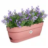 Planter Elho   Pink Plastic