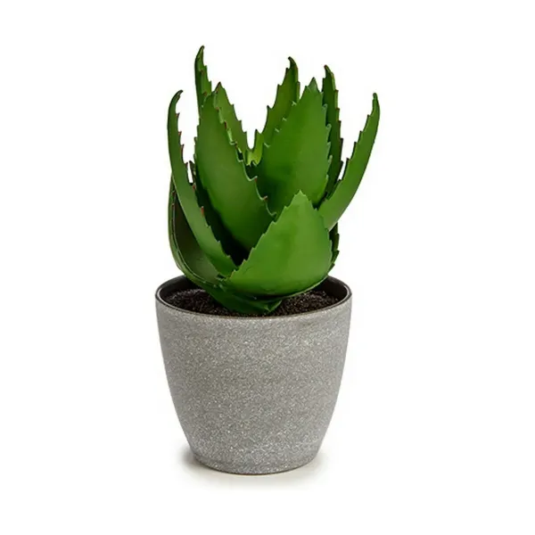 Decorative Plant Aloe Vera 15 x 23,5 x 15 cm Grey Green Plastic (6 Units)