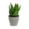 Decorative Plant Aloe Vera 15 x 23,5 x 15 cm Grey Green Plastic (6 Units)