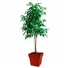 Plant pot EDA   Plastic 39 cm