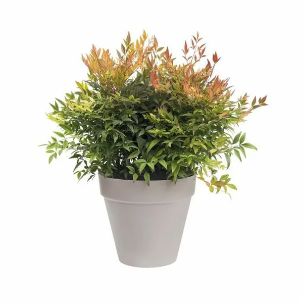 Plant pot Elho   Grey