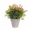 Plant pot Elho   Circular Dark grey Ø 30 cm