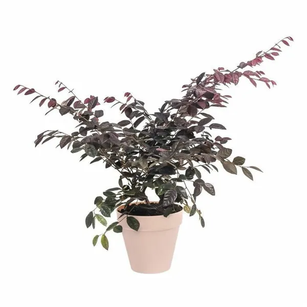 Plant pot Elho   Red Ø 30 cm