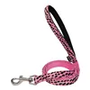 Dog Lead Gloria Pink 120 cm