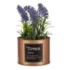 Decorative Plant Lavendar Can Purple Metal Copper Green Plastic 10 x 18 x 10 cm (6 Units)