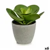 Decorative Plant 18 x 18,5 x 18 cm Grey Green Plastic (6 Units)