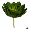 Decorative Plant 22 x 19 x 19 cm Green Plastic (6 Units)