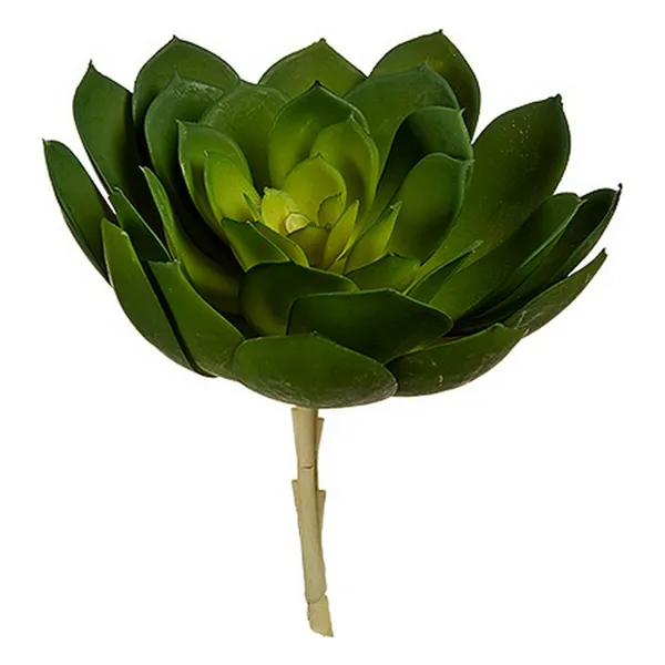 Decorative Plant 22 x 19 x 19 cm Green Plastic (6 Units)