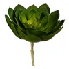 Decorative Plant 22 x 19 x 19 cm Green Plastic (6 Units)