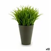 Decorative Plant Plastic 11 x 18 x 11 cm Green Grey (12 Units)