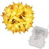 Christmas Lights Springos CL0179, 50 LEDs | Buy online — Megaluks