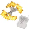 Jõulutuled Springos CL0179, 50 LED | Osta veebist — Megaluks