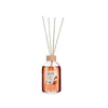 Perfume Sticks Cinnamon 100 ml (12 Units)