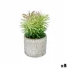 Decorative Plant Succulent Wood Plastic 12 x 22 x 12 cm (8 Units)