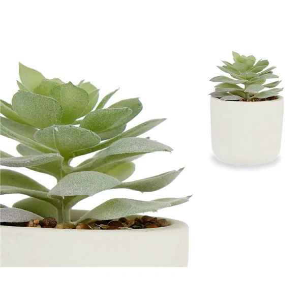 Decorative Plant Succulent Plastic 14 x 13,5 x 14 cm (12 Units)