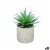 Decorative Plant Succulent Wood Plastic 17 x 21 x 17 cm (8 Units)