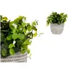 Decorative Plant Flowers Plastic 20 x 20,5 x 20 cm (8 Units)