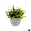 Decorative Plant Flowers Plastic 21 x 20,6 x 21 cm (8 Units)