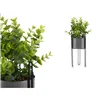 Decorative Plant Eucalyptus Metal Plastic 14 x 40 x 14 cm (8 Units)