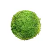 Decorative Plant   Ball Moss 20 x 20 x 20 cm