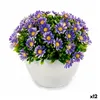 Decorative Plant Marguerite Plastic 14 x 13 x 14 cm (12 Units)