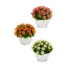 Decorative Plant Marguerite Plastic 14 x 13 x 14 cm (12 Units)