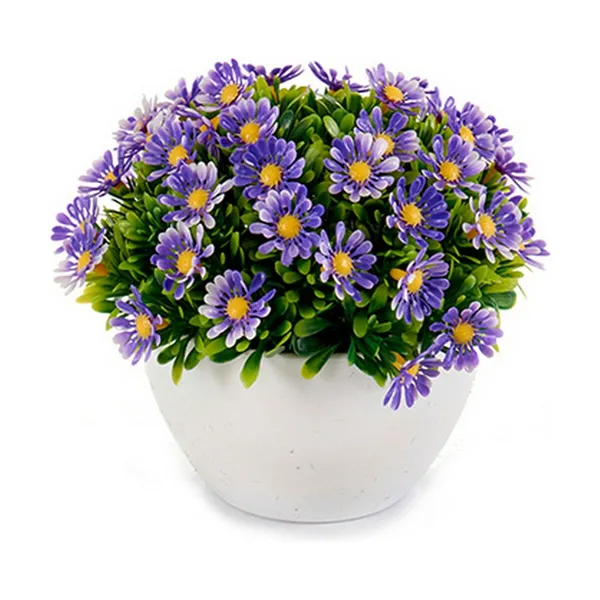 Decorative Plant Marguerite Plastic 14 x 13 x 14 cm (12 Units)