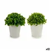 Decorative Plant Plastic 13 x 17 x 13 cm (12 Units)