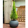 Plant pot Riviera 814276 Grey Circular Ball Ø 40 cm