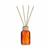 Perfume Sticks Cinnamon 50 ml (12 Units)