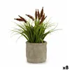 Decorative Plant Ear (of wheat) Plastic 12 x 30 x 12 cm (8 Units)