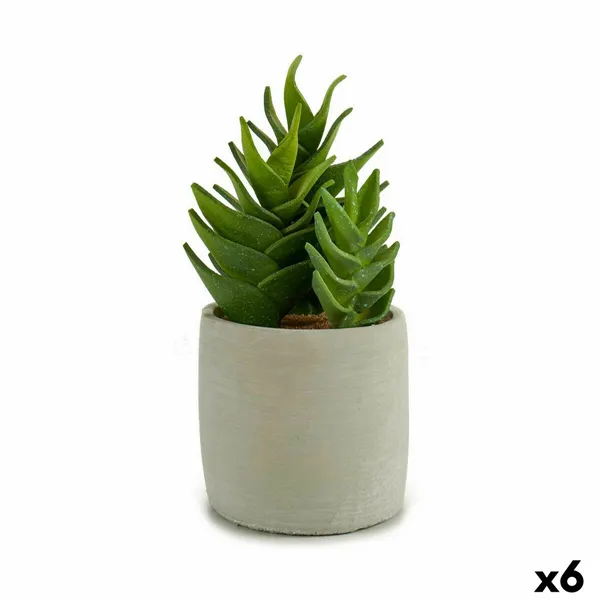 Decorative Plant Succulent Plastic 12 x 24 x 12 cm (6 Units)