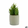 Decorative Plant Succulent Plastic 12 x 24 x 12 cm (6 Units)