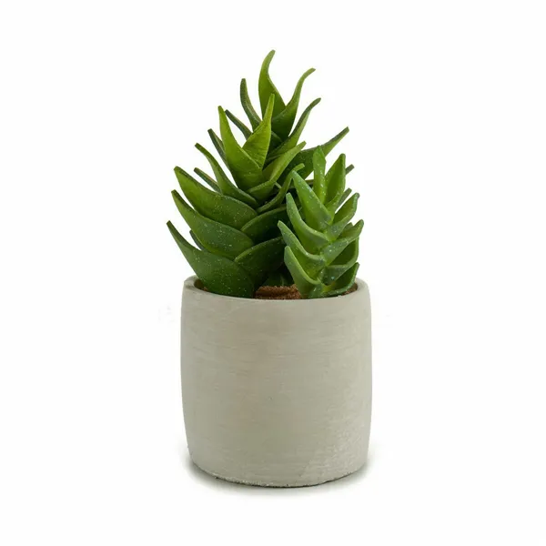 Decorative Plant Succulent Plastic 12 x 24 x 12 cm (6 Units)