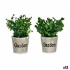 Decorative Plant Plastic 16 x 22 x 16 cm (12 Units)