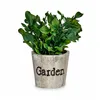 Decorative Plant Plastic 16 x 22 x 16 cm (12 Units)