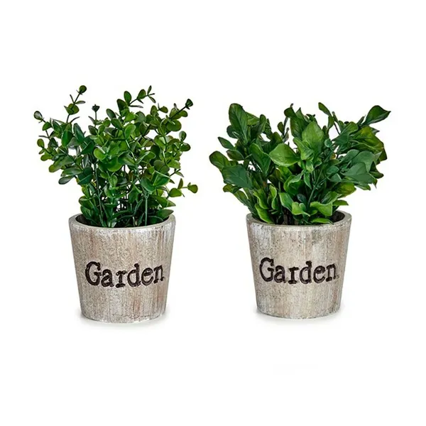 Decorative Plant Plastic 16 x 22 x 16 cm (12 Units)