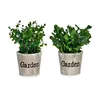 Decorative Plant Plastic 16 x 22 x 16 cm (12 Units)