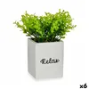 Decorative Plant Sheets Small Plastic Cement 13 x 18 x 13 cm (6 Units)