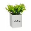 Decorative Plant Sheets Small Plastic Cement 13 x 18 x 13 cm (6 Units)