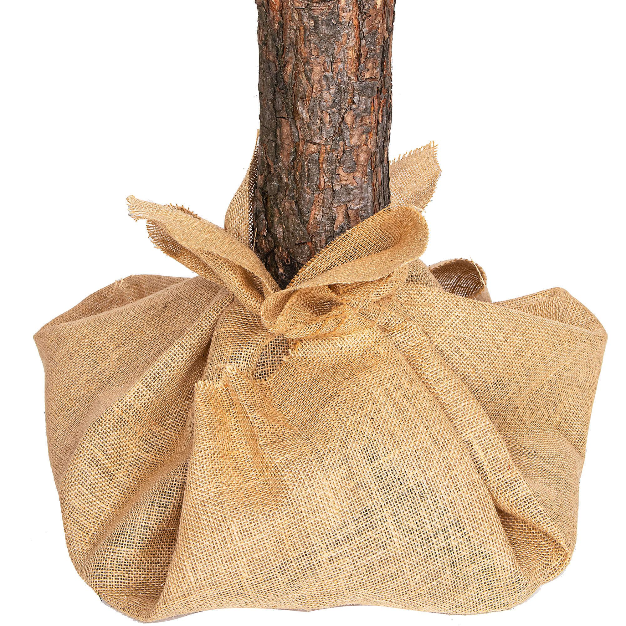 Artificial Christmas Tree Springos CT0111, Diamond Trunk Tree 180 cm