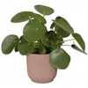 Plant pot Elho Pink Plastic Circular Modern Ø 25 cm