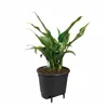 Plant pot Elho Black polypropylene Circular Modern Ø 21 cm 21 cm